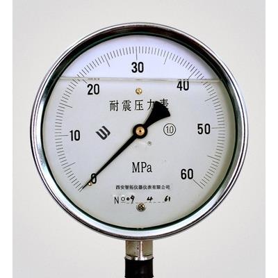 智拓 耐震压力表压力表精密耐震压力表可定做量程 YBN-150/100