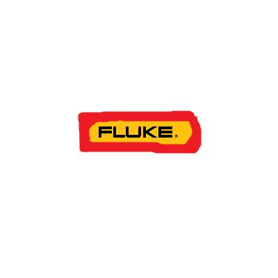 美国福禄克 FLUKE 具有慢化层的中子探测器