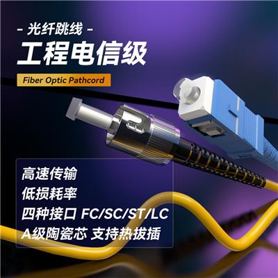 TriBrer电信级光纤跳线千兆单模双芯SC-FC-ST-LC单模双纤万兆光纤跳线延长线 ST-ST（单模单芯）