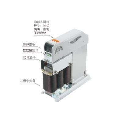 湘湖电器XHNT XHX   系列抗谐波智能电容器