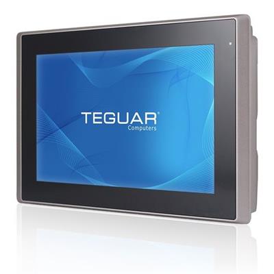 美国Teguar 工业一体机TP-2945-10
