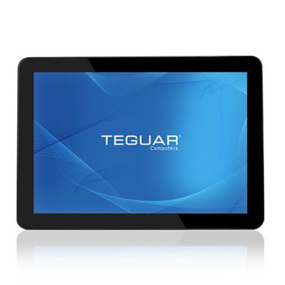 美国Teguar Android安卓工业平板电脑TP-A950-07