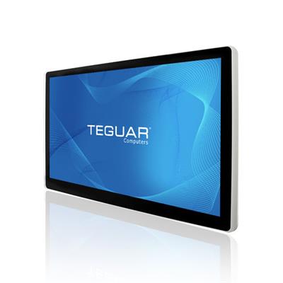 美国Teguar 医用显示器TMD-20-15