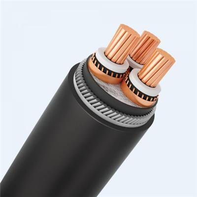 越南ThinhPhat Cables 供电用电缆CXV/SEhh/SWA