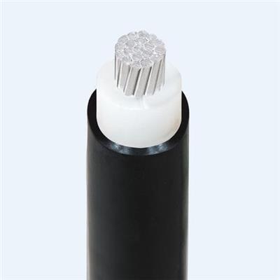 越南ThinhPhat Cables 供电用电缆AXV