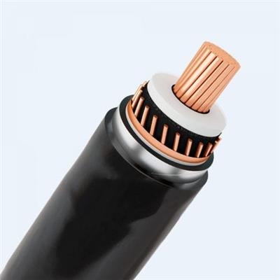 越南ThinhPhat Cables 供电用电缆CXV/SEhh/DATA