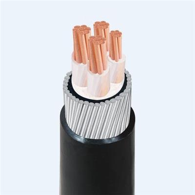 越南ThinhPhat Cables 低电压应用电缆CXV/SWA