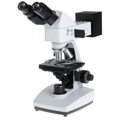 荷兰欧罗麦斯Euromex 光学显微镜B+ series