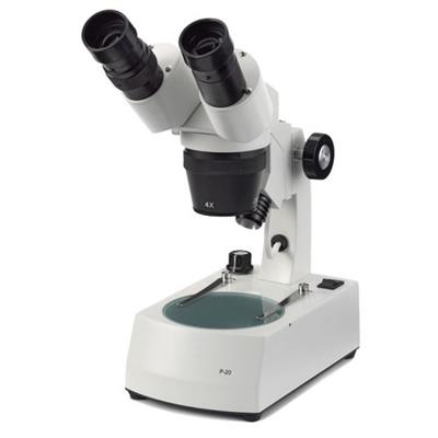 荷兰欧罗麦斯Euromex 光学体视显微镜P series