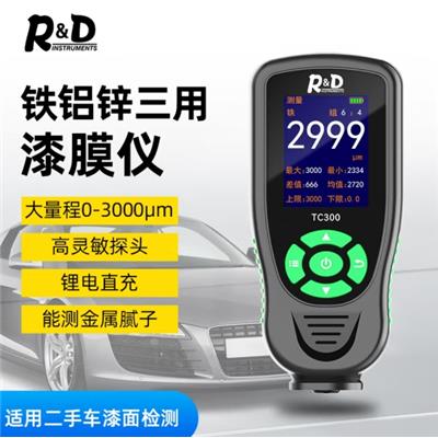 INSTRUMENTS R&D TC100 涂层测厚仪